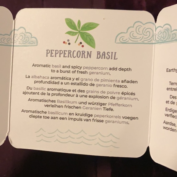 Father’s Day Oil Bundle Scentsy - Picture 4 of 6